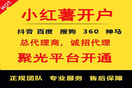 竞价推广公司案例揭秘：如何利用数据分析提升广告效果